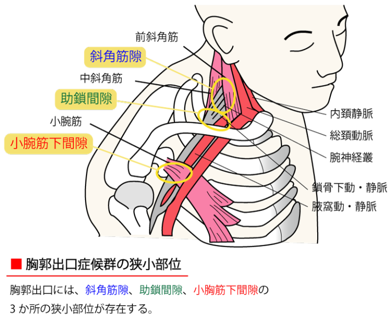 7. 骨髄炎